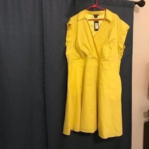 City Chic xxl (24plus) dress